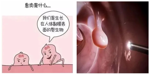 微信截图_20240829085847.png