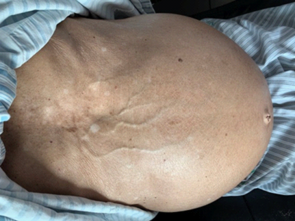 1726186446695307.png 图片8.png