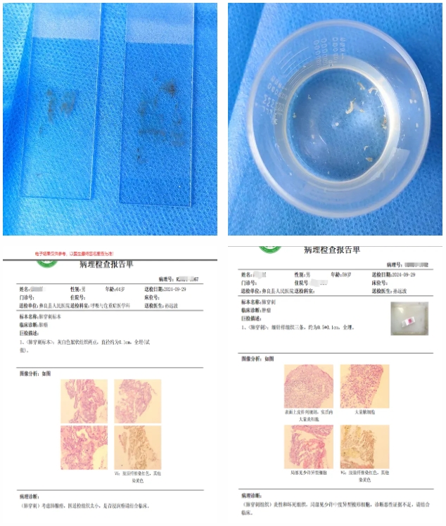 微信截图_20241010085242.png