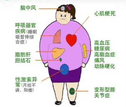1753176388713596.png 图片2.png