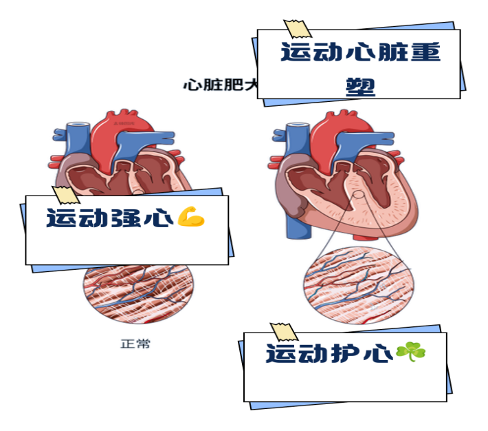 1773016172103818.png 图片2.png