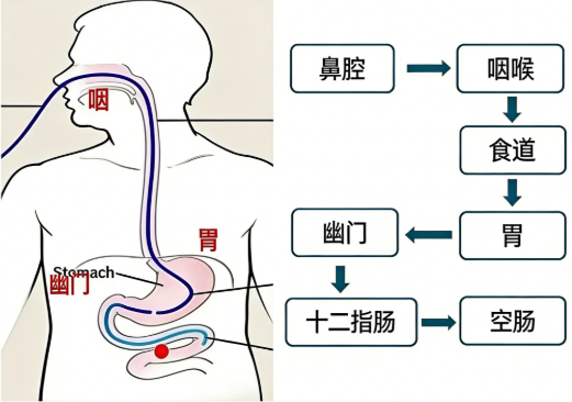 1775004510655847.png 微信图片_20260331144500.png