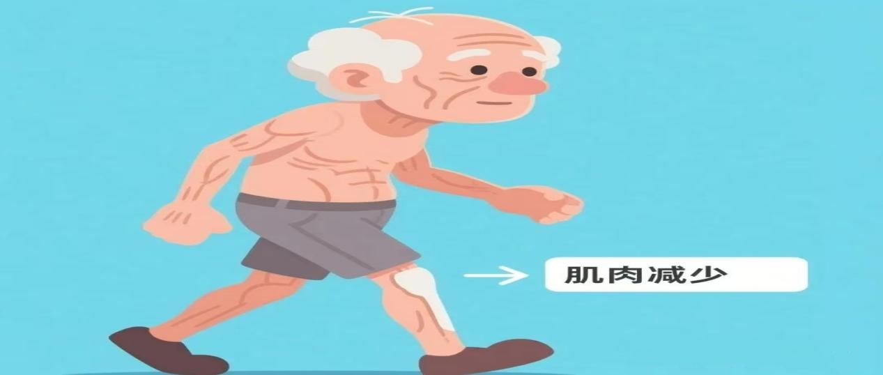 图片34.png