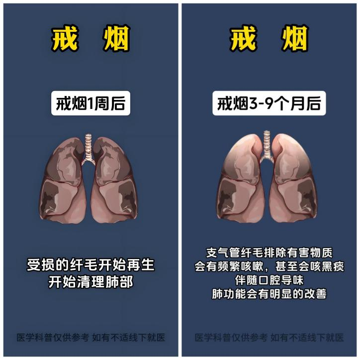 图片12.png