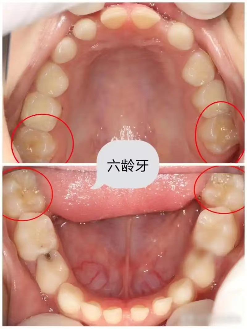 图片27.png