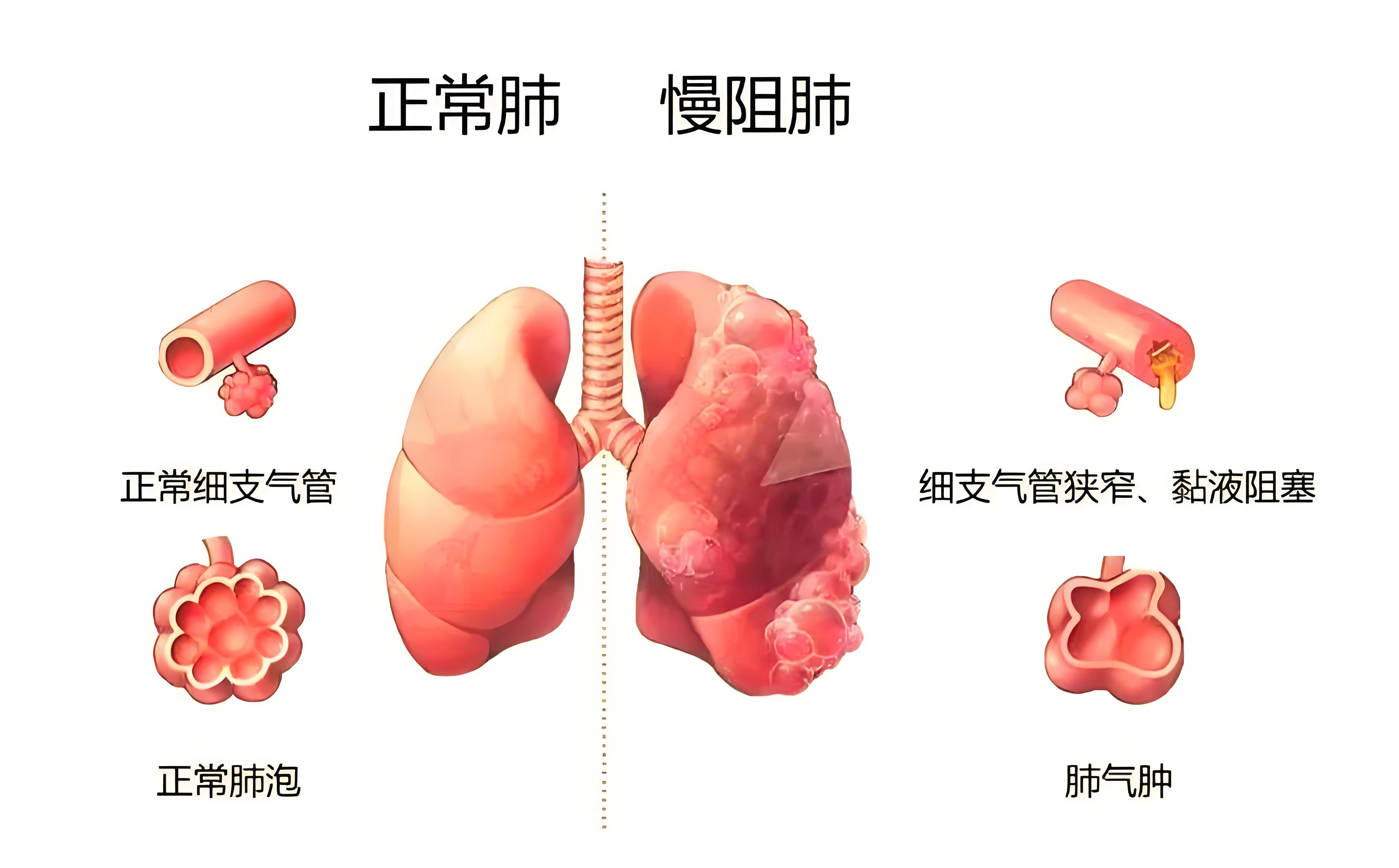 图片36.png
